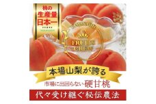 やみつきリピーター続出!桃通が好む本場の味『硬甘桃』約2kg8月下旬より発送【1424178】