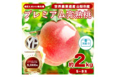 晩生種 約2kg 5~8個 大ぶり歯ごたえ◎ YAMANASHI PRIDE 桃【1425351】