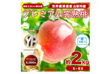 晩生種 約2kg 5~8個 大ぶり歯ごたえ◎ YAMANASHI PRIDE 桃【1425351】