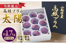 山梨市産プラム　太陽　約1.7kg(9～12玉)【1431878】