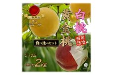 山梨市産　白桃と黄金桃の食べ比べセット　約2kg(5～8玉)【1431881】