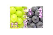 大好評!巨峰・シャインマスカットどちらも楽しめるセット【1437105】