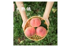 三十屋こだわり桃＜3個入 1kg以上＞【1456109】