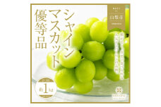 ＜訳あり＞山梨県山梨市産　旬の採れたてシャインマスカット　優等品約1kg2～3房【1459692】