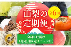 ＜発送月固定定期便＞山梨好きさん、集まれ～!人気のフルーツも届く定期便 全6回【4005621】