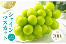 山梨県山梨市産　特選　旬の採れたてシャインマスカット　1房　(700g以上)【1134844】