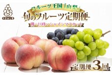 ＜発送月固定定期便＞2025年発送 山梨フルーツ旬の果物 桃+種無し巨峰+シャインマスカット 全3回_ フルーツ 果物 くだもの もも ぶどう セット 山梨 定期 産地直送 送料無料 ＜2025年先行予約＞【4005774】
