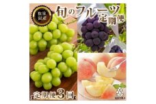 ＜発送月固定定期便＞2026年発送 山梨 旬の果物 桃+種無し黒ぶどう+シャインマスカット 全3回_ フルーツ 果物 くだもの もも ぶどう セット 山梨 定期 産地直送 送料無料 ＜2025年先行予約＞【4005774】