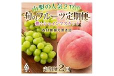＜発送月固定定期便＞山梨フルーツ旬の果物 2025年シャインマスカット+2026年桃 全2回_ もも ぶどう ふるさと納税 定期便 フルーツ 果物 セット 山梨 定期 送料無料【4005775】