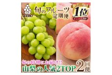 ＜発送月固定定期便＞2026年発送 山梨フルーツ旬の果物 桃+シャインマスカット 全2回_ もも ぶどう ふるさと納税 定期便 フルーツ 果物 セット 山梨 定期 送料無料【4005775】