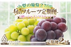 ＜発送月固定定期便＞2025年発送 山梨フルーツ旬の果物 種無し巨峰+シャインマスカット 全2回_ ぶどう ブドウ 巨峰 シャインマスカット セット ギフト 【4005776】