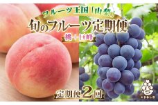 ＜発送月固定定期便＞2025年発送 山梨フルーツ旬の果物 桃+種無し巨峰 全2回_ もも ぶどう ふるさと納税 定期便 フルーツ 果物 セット 山梨 定期 送料無料 【4005777】