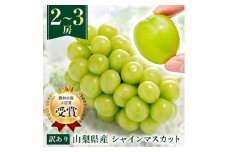 ＜先行受付 2026年発送＞＜訳あり＞シャインマスカット 2～3房 1kg以上【1456435】