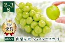 ＜先行受付 2026年発送＞＜訳あり＞シャインマスカット 2～3房 1kg以上【1456435】