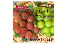 山梨市産サンシャインレッドとシャインマスカットの特別セット(合計1kg以上)【1464815】