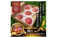 ＜1泊100万円高級宿御用達＞1000個中1個の希少性『幻のシャトーブリアン桃』2025年6月下旬【1464210】