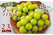 ＜2025年発送＞山梨市産　シャインマスカット　2～3房(1.2kg以上)【1465064】