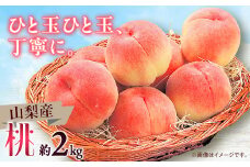 ＜2025年発送＞山梨市産　桃　約2kg【1465104】