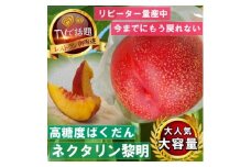 《高糖度ばくだんネクタリン黎明》桃グランプリ日本一受賞&4年連続TV出演で話題2025年7月中旬発送【1465189】