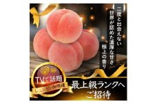 ＜海外セレブ贈答品＞世界レベル糖度16度以上わずか5%『樹上完熟ブランド桃』2025年8月下旬発送【1464209】
