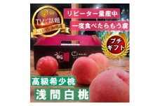 ＜市場にほぼ出回らない浅間白桃＞人気品種指定ギフト4年連続TV出演話題ブランド2025年7月中旬発送【1465254】