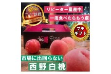 ＜市場に出回らないレアな西野白桃＞人気品種指定ギフト4年連続TV出演話題ブランド2025年7月中旬発【1465267】
