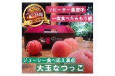 ＜大玉ジューシーなつっこ＞人気品種指定ギフト4年連続TV出演話題ブランド2025年7月中旬発送【1465280】