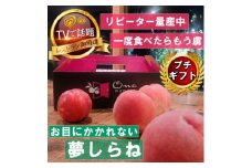 ＜滅多にお目にかかれない夢しらね＞人気品種指定ギフト4年連続TV出演話題ブランド2025年7月下旬～【1465301】