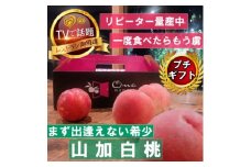 ＜まず出逢えない気品高い山加白桃＞人気品種指定ギフト4年連続TV出演話題ブランド2025年7月下旬～【1465316】