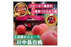 《王道硬めのエース川中島白桃》桃グランプリ銅賞&4年連続TV出演話題ブランド2025年8月上旬発送【1465325】