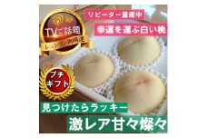 ＜激レア縁起深い白い桃の甘々燦々＞人気品種指定ギフト4年連続TV出演話題ブランド2025年8月下旬～【1465336】