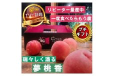 ＜瑞々しく滴る次世代を担う夢桃香＞人気品種指定ギフト4年連続TV出演話題ブランド2025年6月下旬～【1465408】