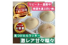 《激レア縁起深い白い桃の甘々燦々》人気品種指定ギフト4年連続TV出演話題ブランド2025年8月下旬～【1465337】