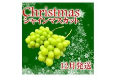 冬季限定!!山梨県山梨市産　クリスマスシャインマスカット　約1kg　2～3房【1468543】