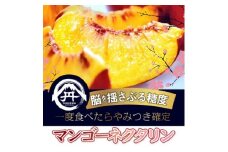 ＜脳を揺さぶる圧倒的糖度＞マンゴーネクタリンやみつきリピーター続出中2025年8月下旬より発送【1468756】