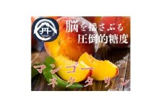 ＜一度食べたら忘れられない＞溢れる果汁マンゴーネクタリン2025年8月下旬発送【1468763】