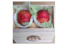 ＜周りに差をつける贈り物＞最高糖度25度の比類なき絶対糖度シャトーネクタリン2025年9月上旬発送【1468771】