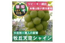 2025年10月中旬発送「幻の牧丘天空シャインマスカット」約1kg(2～3房)【1473199】