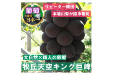 2025年9月中旬発送「幻の牧丘天空キング巨峰」 約1kg(2～3房)【1473331】