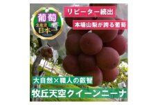 2025年9月下旬発送「幻の牧丘天空クイーンニーナ」 約1kg(2～3房)【1473342】
