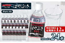＜発送月固定定期便＞はやぶさ温泉水0.5L×24本＜高アルカリで超軟水、健康と美をサポート＞全12回_ 水 定期便 500ml ミネラルウォーター ウォーター ミネラル アルカリ 軟水 温泉水 飲料 ドリンク キャンプ アウトドア 山梨市 常温 玄関 配達 【4007726】