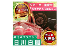＜果汁スプラッシュ日川白鳳＞人気品種指定ギフト4年連続TV出演話題ブランド桃2025年6月下旬発送【1465185】