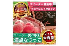 《大玉ジューシーなつっこ》人気品種指定ギフト4年連続TV出演話題ブランド2025年7月中旬発送【1465286】