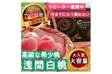 ＜市場にほぼ出回らない浅間白桃＞人気品種指定ギフト4年連続TV出演話題ブランド2025年7月中旬発【1465263】