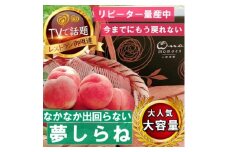 ＜全国桃グランプリ金賞夢しらね＞滅多にお目にかかれない4年連続TV出演話題ブランド2025年7月下旬【1465306】