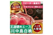 ＜王道硬めのエース川中島白桃＞桃グランプリ銅賞&4年連続TV出演話題ブランド2025年8月上旬発送【1465326】