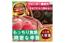 《もっちりカリカリ不思議な幸茜》人気品種指定ギフト4年連続TV出演話題ブランド2025年8月中旬発送【1465332】