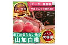 ＜まず出逢えない幻の山加白桃＞人気品種指定ギフト4年連続TV出演話題ブランド2025年7月下旬【1465320】
