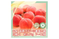 山梨 萩原フルーツ農園の桃　白桃C (約3.7kg 7～12個入)【1477612】