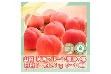山梨 萩原フルーツ農園の桃　白桃B (約2.8kg 5～10個入)【1477611】